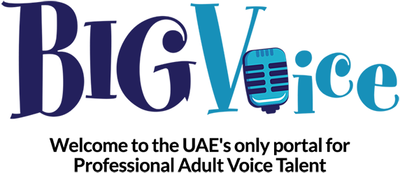 BigVoice Logo